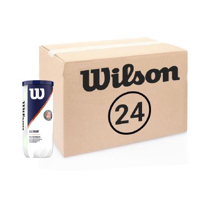 Теннисные мячи Wilson Roland Garros All Court 72 (24*3)