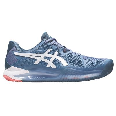 Теннисные кроссовки Asics Gel Resolution 8 Clay Blue Harmony/White