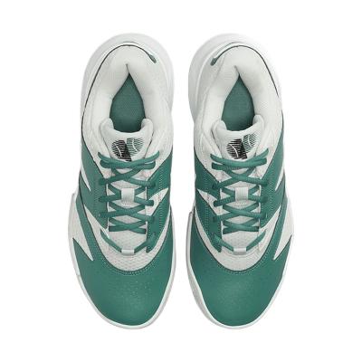 Теннисные кроссовки Nike Court Lite 4 Clay Light Silver/Bicoastal/White
