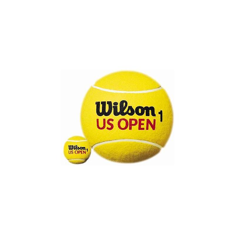 Теннисные мячи Wilson US Open 4 мяча