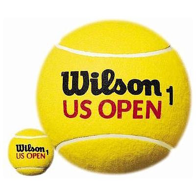 Теннисные мячи Wilson US Open Extra Duty 72 (18x4)