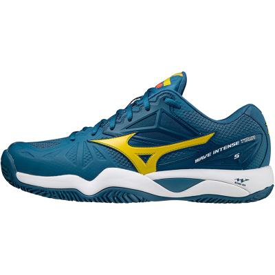 Теннисные кроссовки Mizuno Wave Intense Tour 5 CC Blue