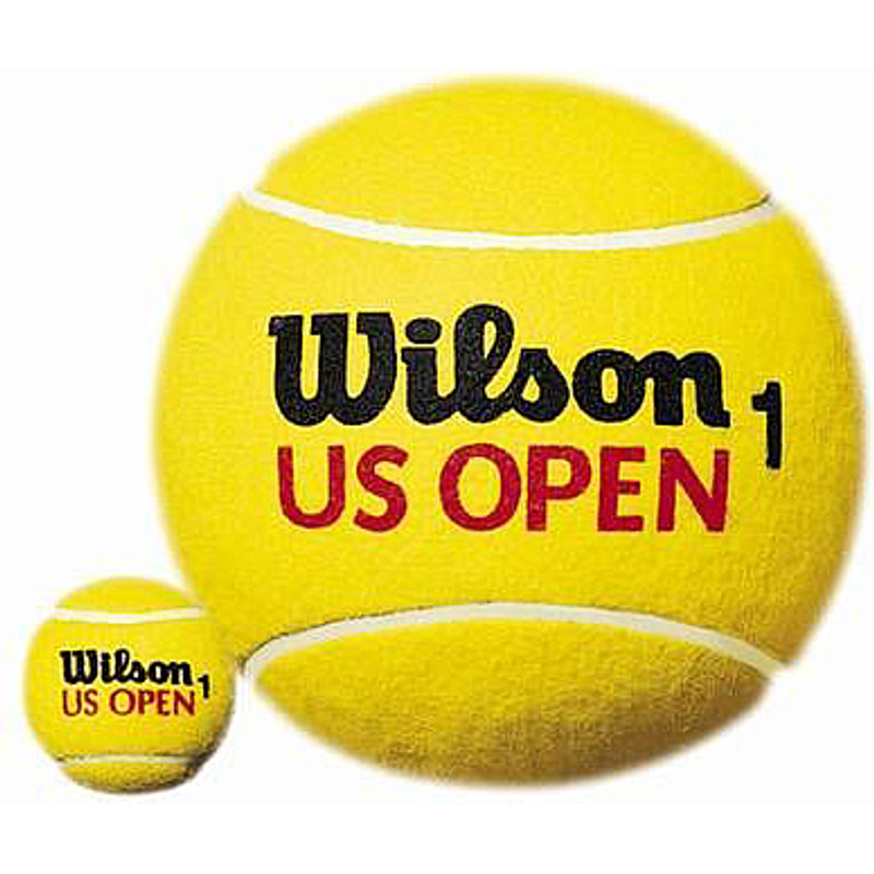 Теннисные мячи Wilson US Open 4 мяча