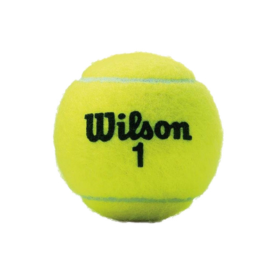Теннисные мячи Wilson Championship 72 мяча (24 по 3 мяча)